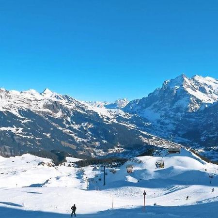 Chalet Aphrodite Ost Apartment Grindelwald Ngoại thất bức ảnh