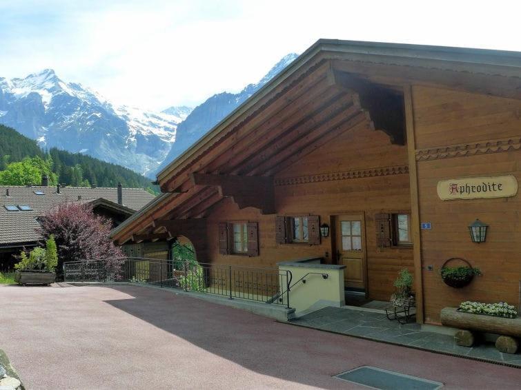 Chalet Aphrodite Ost Apartment Grindelwald Ngoại thất bức ảnh