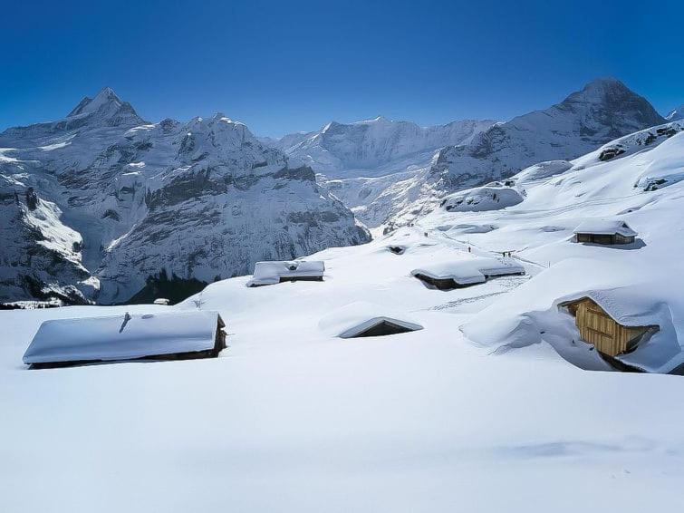 Chalet Aphrodite Ost Apartment Grindelwald Ngoại thất bức ảnh