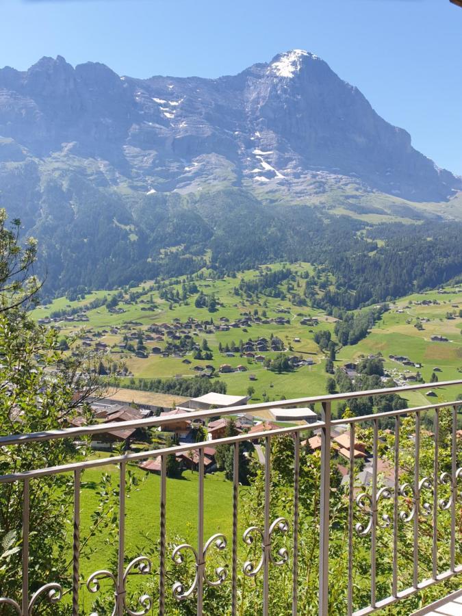 Chalet Aphrodite Ost Apartment Grindelwald Ngoại thất bức ảnh